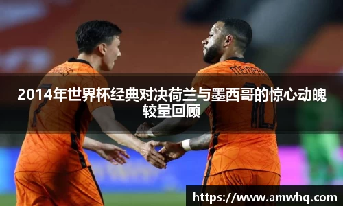 2014年世界杯经典对决荷兰与墨西哥的惊心动魄较量回顾